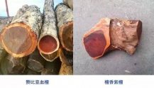 细节图片详细，小叶紫檀与血檀的迥异！