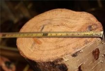 红木资深玩家:＂未见其木，先闻其味＂