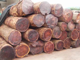 缅甸花梨木成材价格